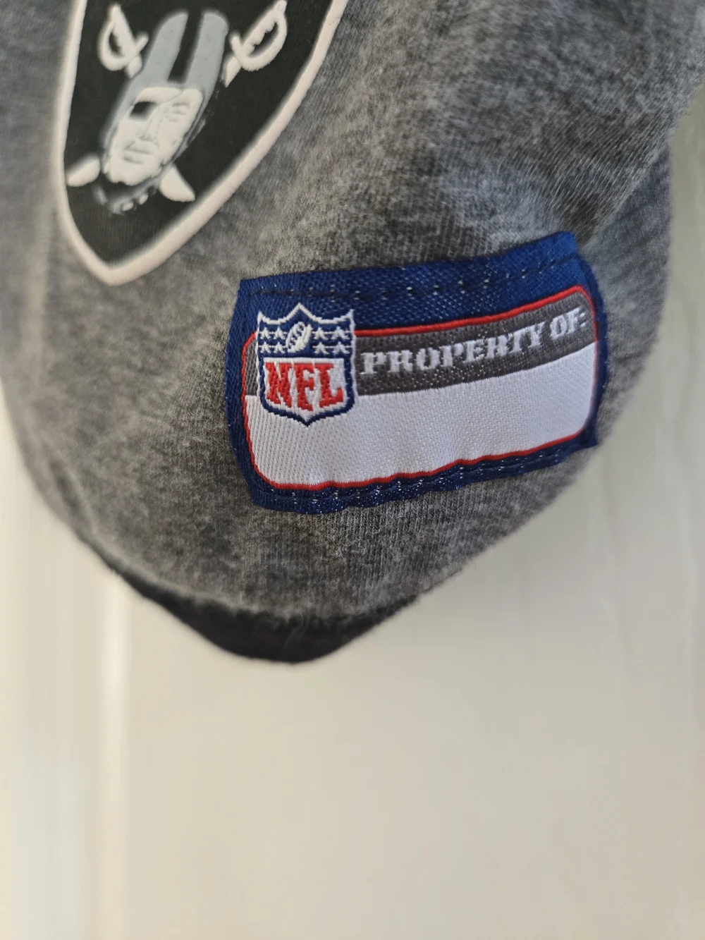 NFL Gray and Black Raiders Pet Tee